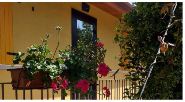 Agriturismo La Fredda Appartement Sommacampagna Buitenkant foto